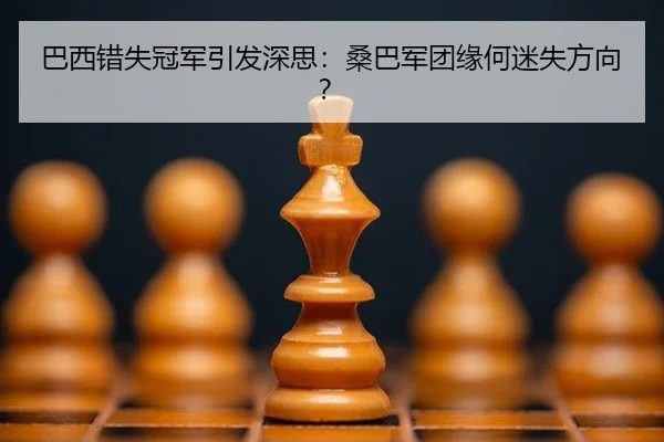 ba-xi-cuo-shi-guan-jun-yin-fa-shen-si-sang-ba-jun-tuan-yuan-he-mi-shi-fang-xiang-2-375.jpg