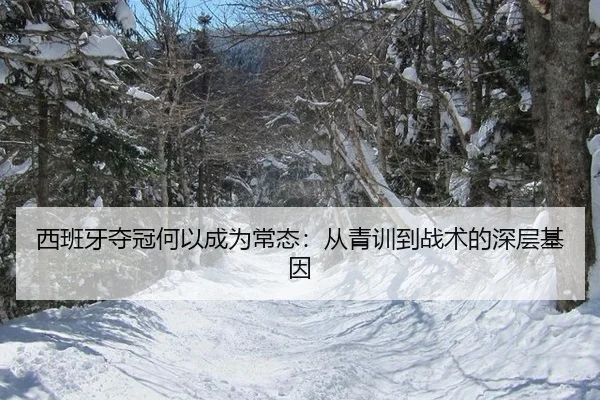 xi-ban-ya-duo-guan-he-yi-cheng-wei-chang-tai-cong-qing-xun-dao-zhan-shu-de-shen-ceng-ji-yin-2-922.jpg